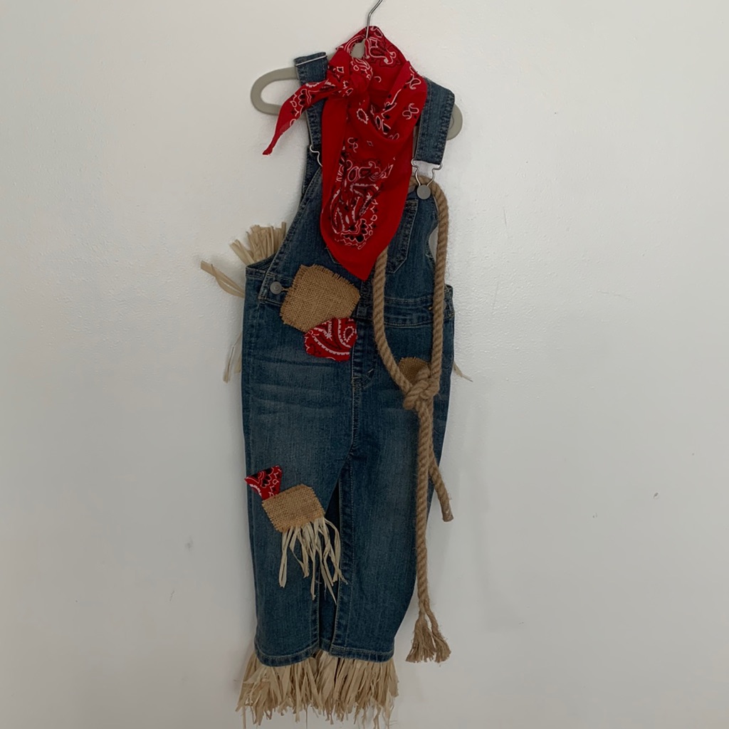 Halloween Costumes Scarecrow